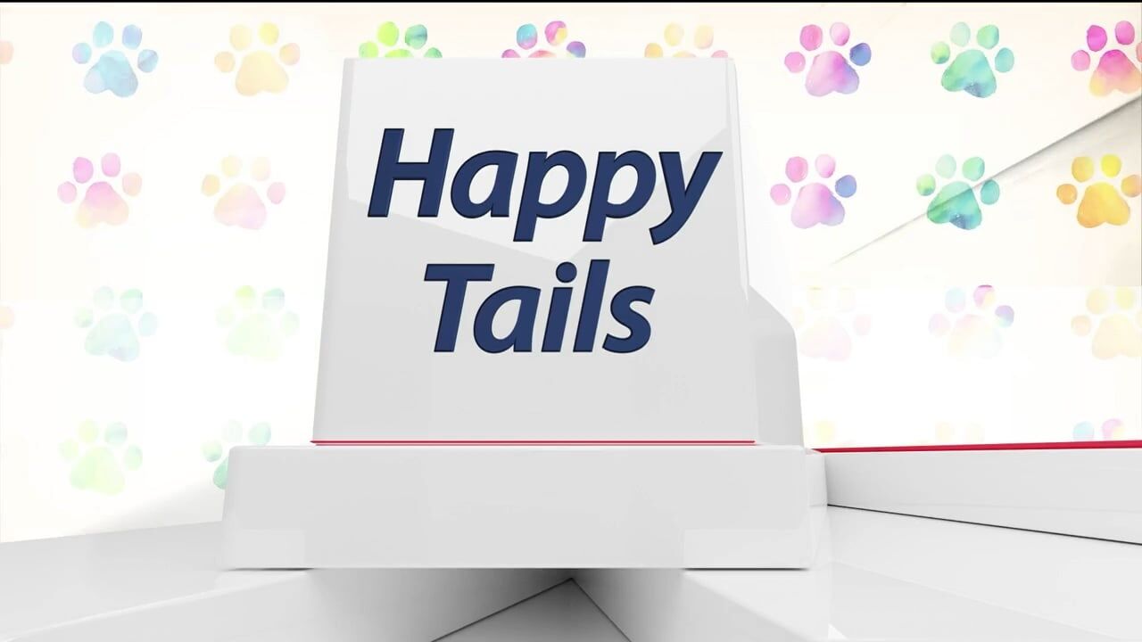 WAND's Happy Tails featuring Mario Kart and Lemon Blueberry